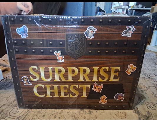 44 Item Surprise Box